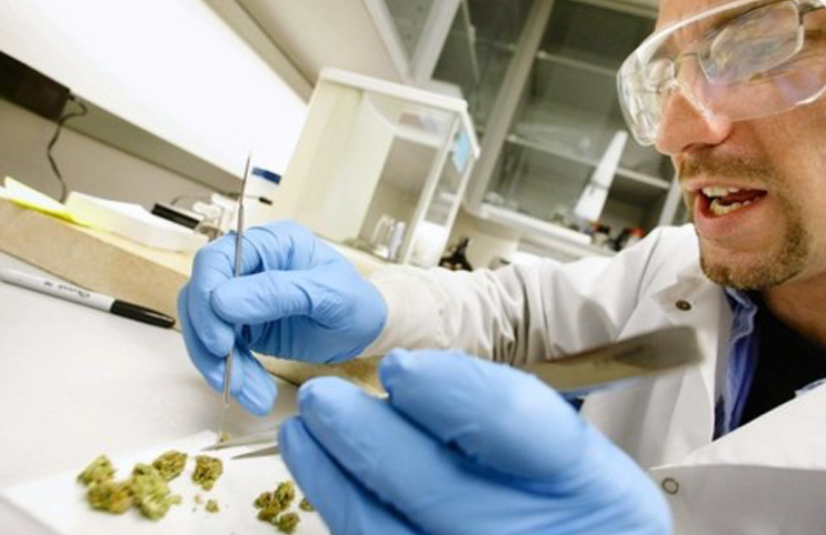 Solvent Recycling Lowers Cannabis Testing Equipment Costs